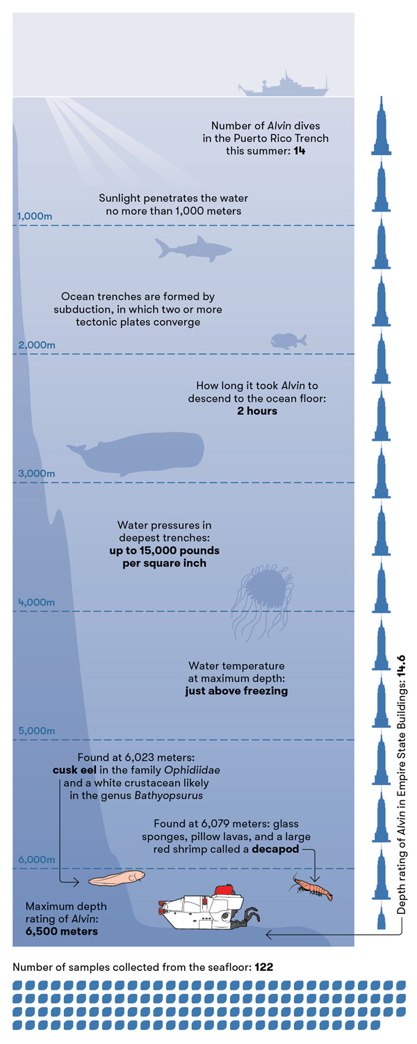 Infographic about the Puerto Rico Trench